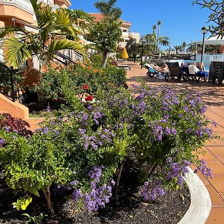 아파트 Comfort En Tenerife Royal Gardens